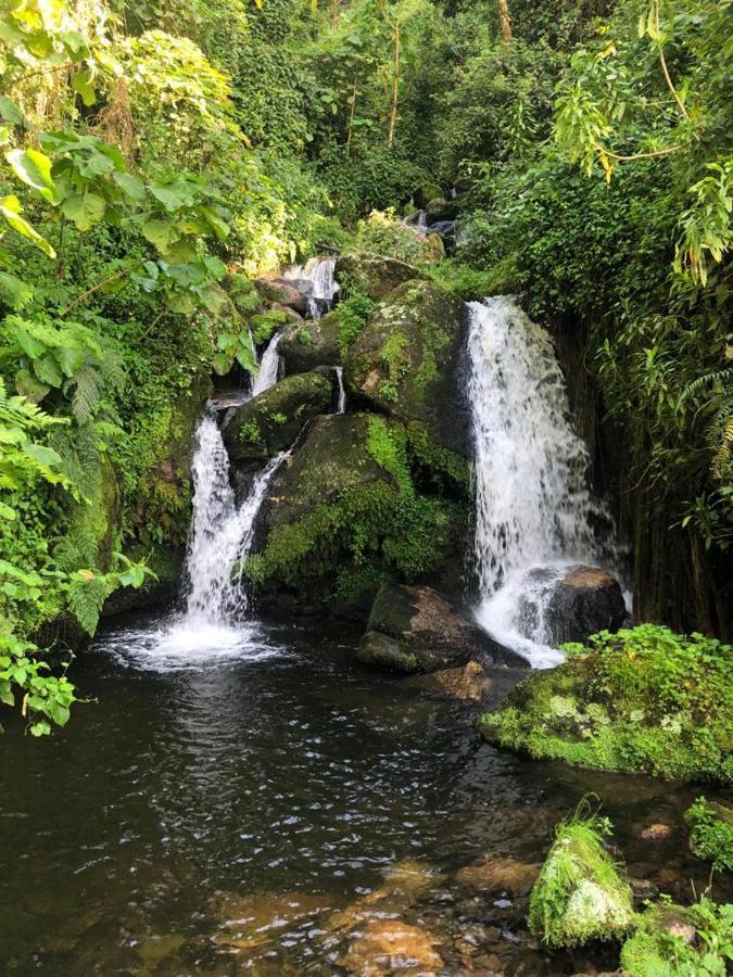 Mbunga Community Tourism Lodge Kasese