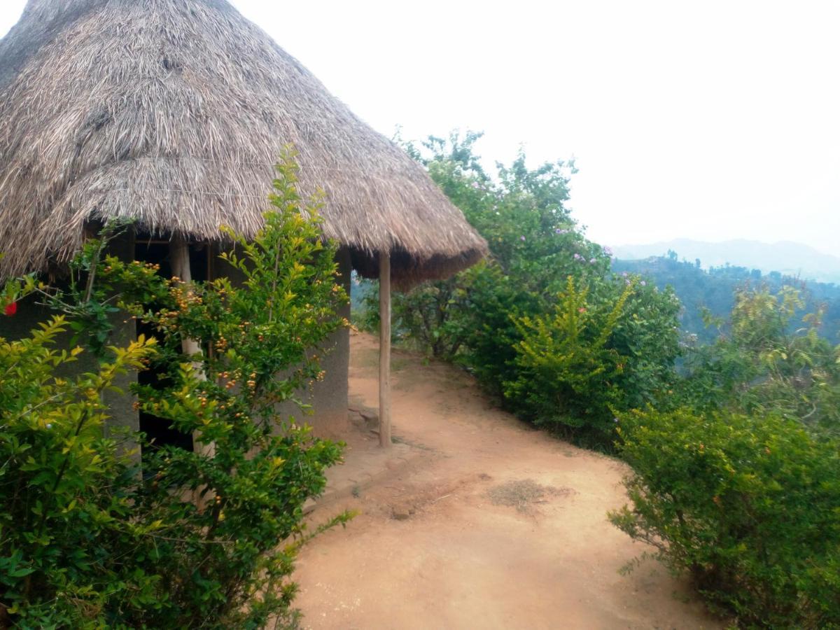 Lodge Mbunga Community Tourism