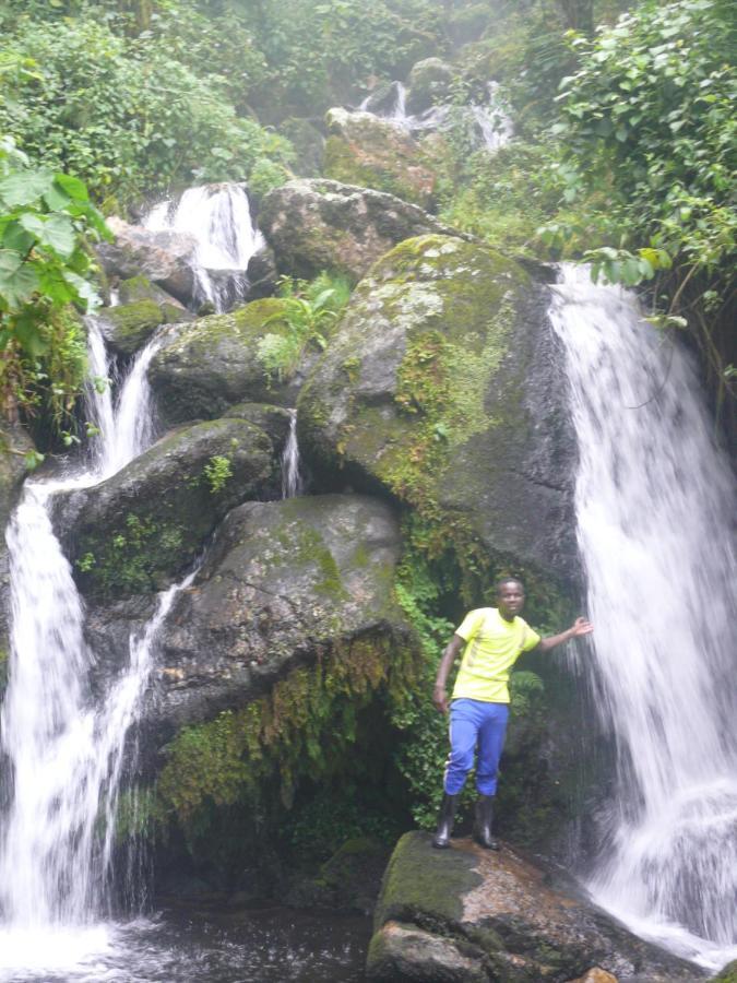 Lodge Mbunga Community Tourism *