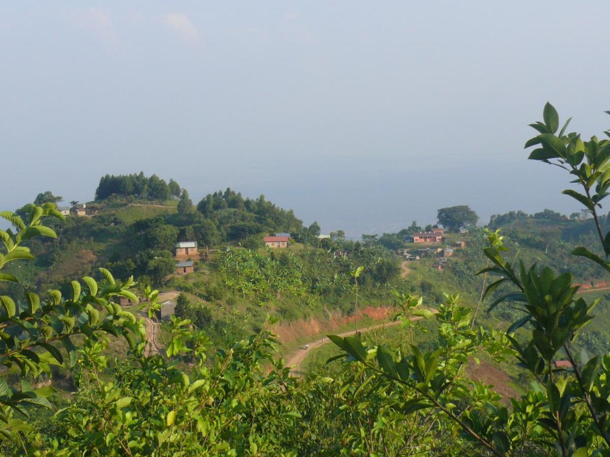 Lodge Mbunga Community Tourism *