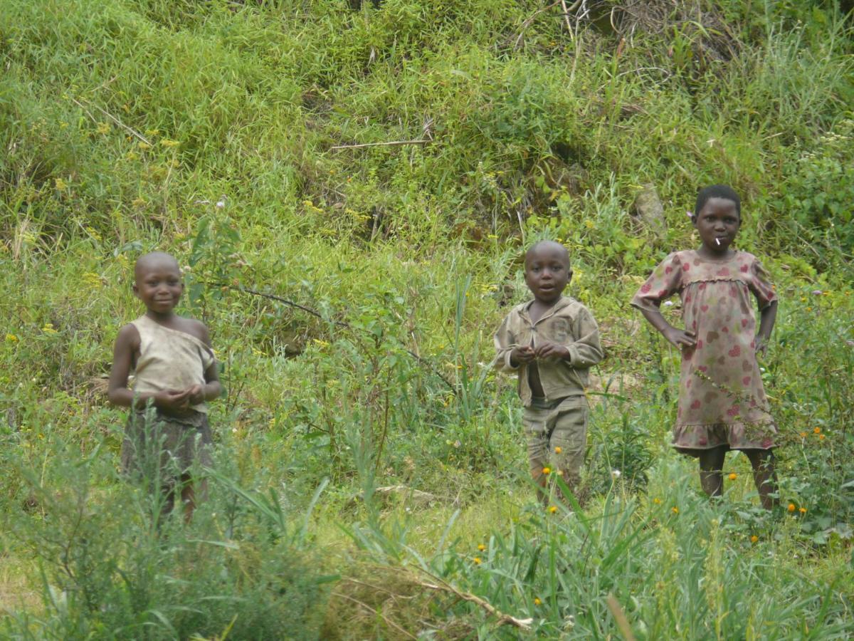 Lodge Mbunga Community Tourism *
